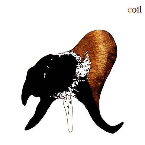 Coil – Black Antlers CD-R Coil - Black Antlers on Dais Records