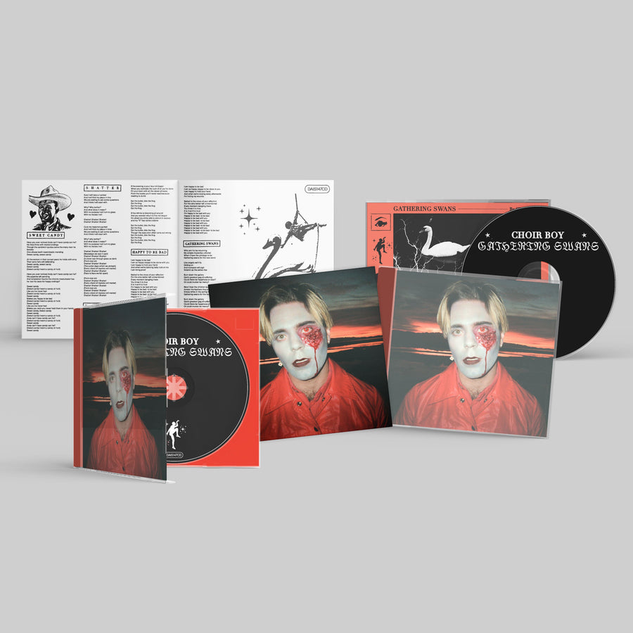 Choir Boy Gathering Swans on Dais Records