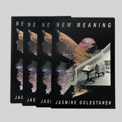 New Meaning Art + Lyrics Book by Tempers